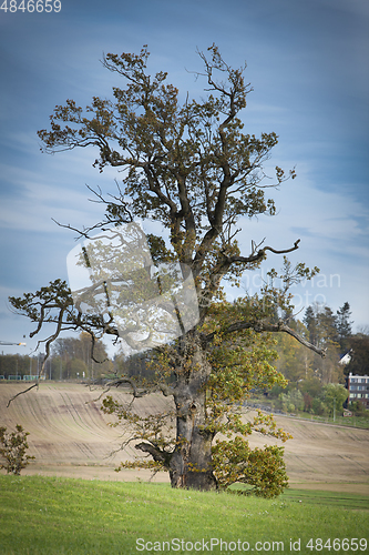 Image of Untitled