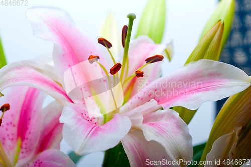 Image of pink lily flower bouquet