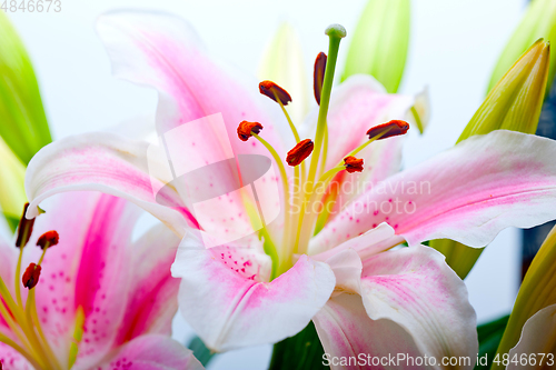 Image of pink lily flower bouquet