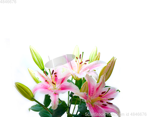 Image of pink lily flower bouquet