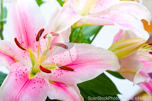 Image of pink lily flower bouquet