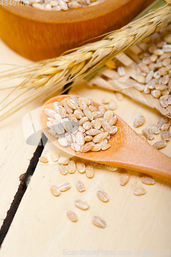 Image of organic barley grains