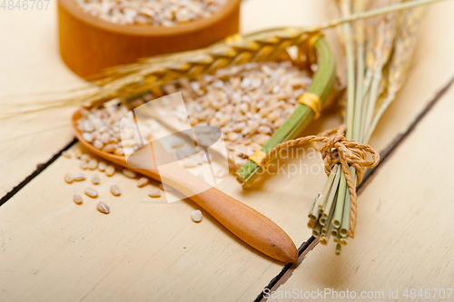 Image of organic barley grains