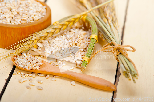 Image of organic barley grains