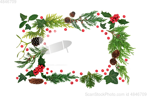 Image of Winter Border Nature Composition with Holly and Flora  