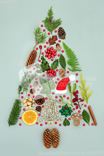 Image of Merry Christmas Tree Abstract with Flora and Decorations