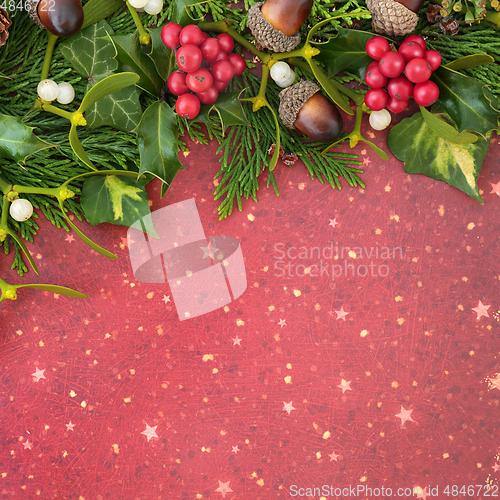 Image of Winter Background Design with Holly and Flora 