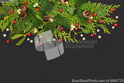 Image of Christmas Winter and New Year Natural Greenery