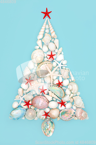 Image of Christmas Tree Concept Shape with Seashell Collection