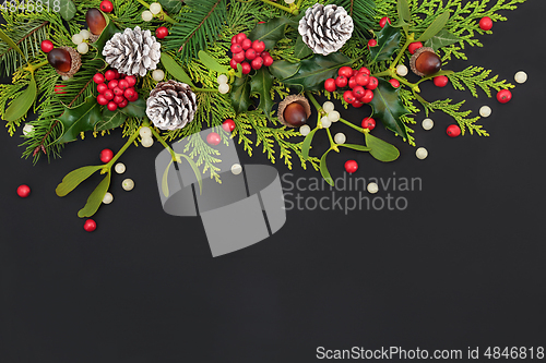 Image of Natural Winter and New Year Floral Background