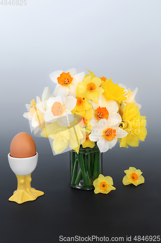 Image of Spring Daffodils and an Egg for Breakfast Composition
