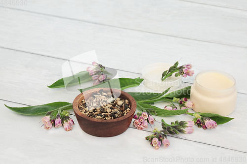 Image of Comfrey Healing Herb for Skin Treatments