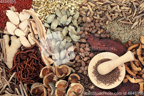 Image of Preparing Chinese Herbal Medicine with Herbs and Spices 