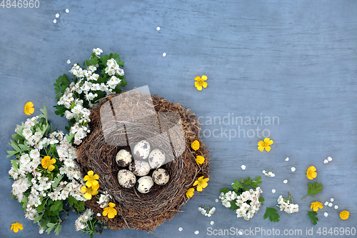 Image of Quail Eggs for a Healthy Immune Boost