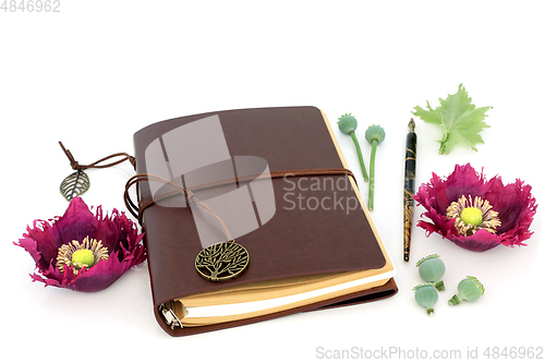 Image of Poppies Used in Natural Alternative Medicine