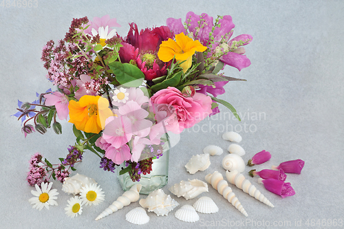 Image of  Beautiful Summer Flower and Herb Composition and Seashells