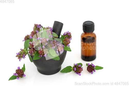 Image of Self Heal  Herb and Medical Essential Oil Bottle