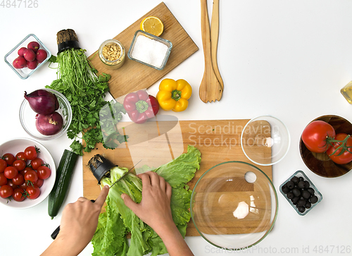 Image of hands cutting lettuce on wooden board at kitchen