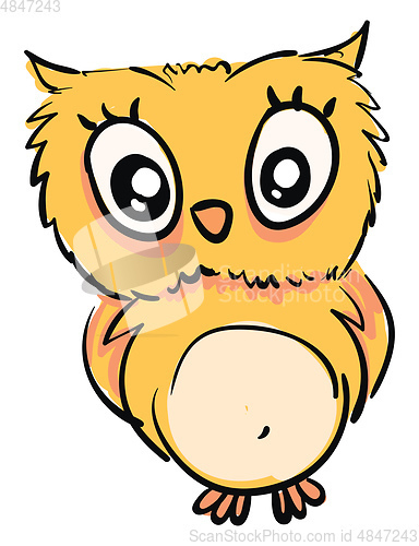 Image of Little yellow owlillustration vector on white background