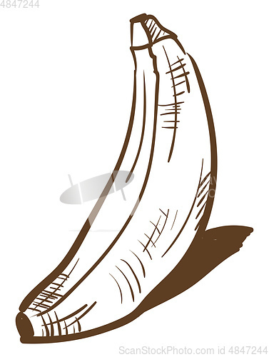 Image of Sketch banana, vector color illustration.