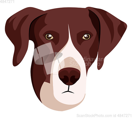 Image of Pointer illustration vector on white background