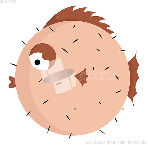Image of Brown-colored puffer fish vector or color illustration