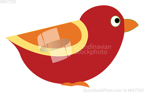 Image of A red little bird vector or color illustration