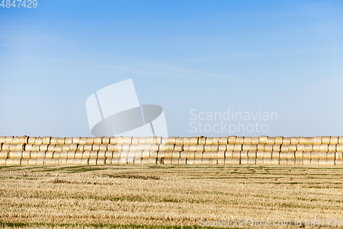 Image of straw after harvest