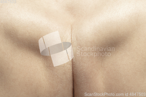 Image of Texture of human skin. Close up of well-kept caucasian human body