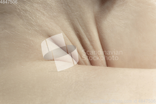 Image of Texture of human skin. Close up of well-kept caucasian human body