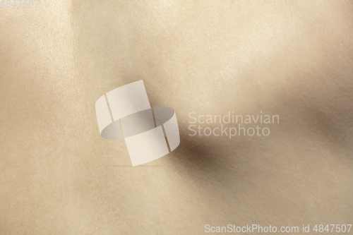 Image of Texture of human skin. Close up of well-kept caucasian human body