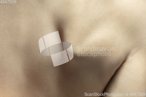 Image of Texture of human skin. Close up of well-kept caucasian human body