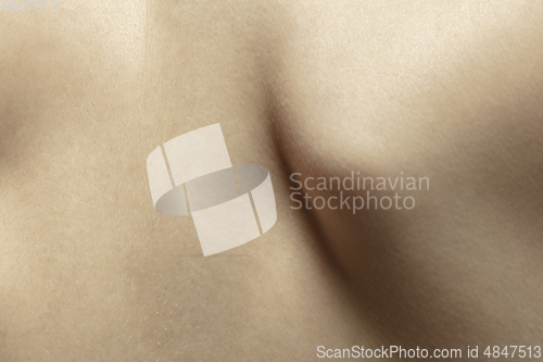 Image of Texture of human skin. Close up of well-kept caucasian human body