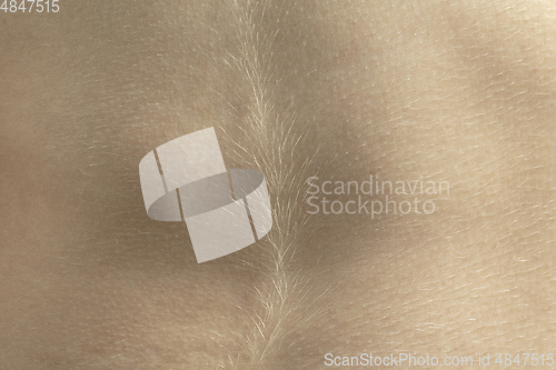 Image of Texture of human skin. Close up of well-kept caucasian human body