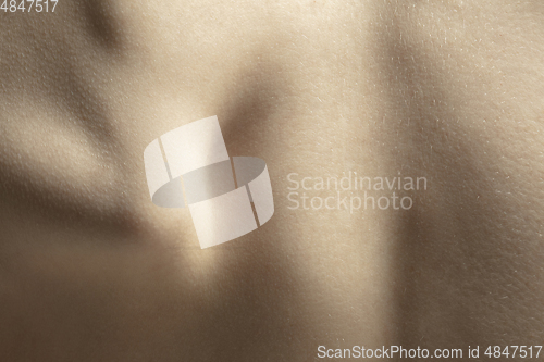 Image of Texture of human skin. Close up of well-kept caucasian human body