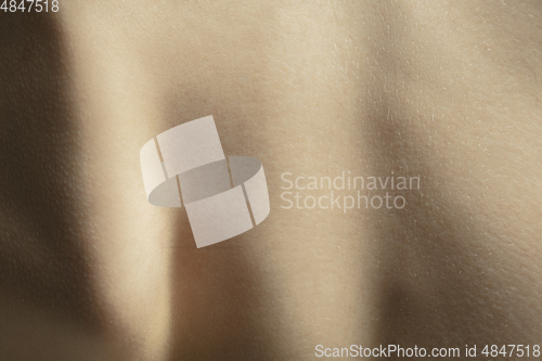 Image of Texture of human skin. Close up of well-kept caucasian human body