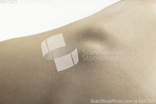 Image of Texture of human skin. Close up of well-kept caucasian human body