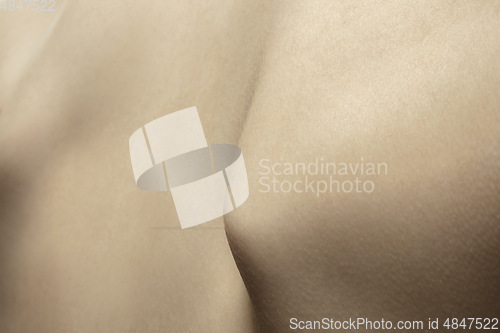 Image of Texture of human skin. Close up of well-kept caucasian human body