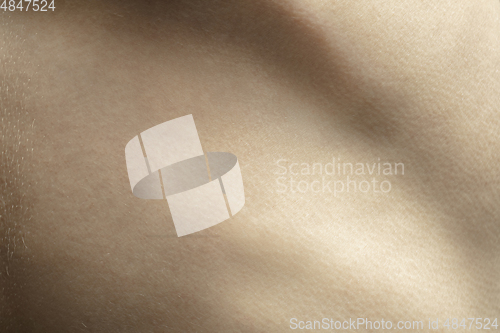 Image of Texture of human skin. Close up of well-kept caucasian human body