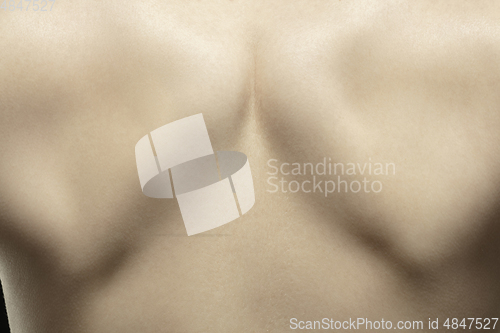 Image of Texture of human skin. Close up of well-kept caucasian human body