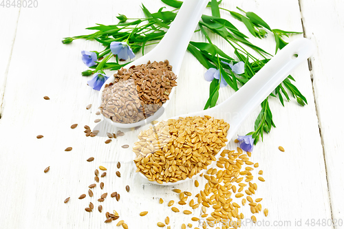 Image of Flaxen white and brown in two spoons on table