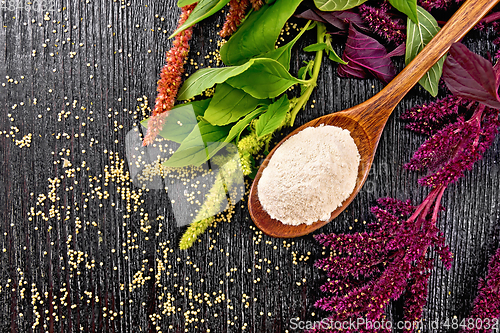 Image of Flour amaranth in spoon on board top