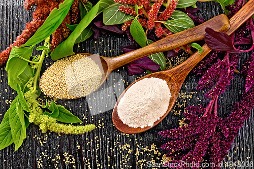 Image of Flour and seeds amaranth in two spoons on board top