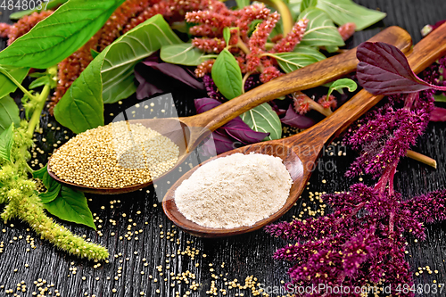 Image of Flour and seeds amaranth in two spoons on board