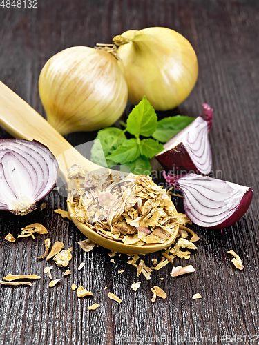 Image of Onion flakes in spoon on table