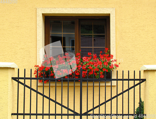 Image of Window of stone building decorated of red geranium flowers