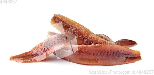 Image of canned anchovy fillets