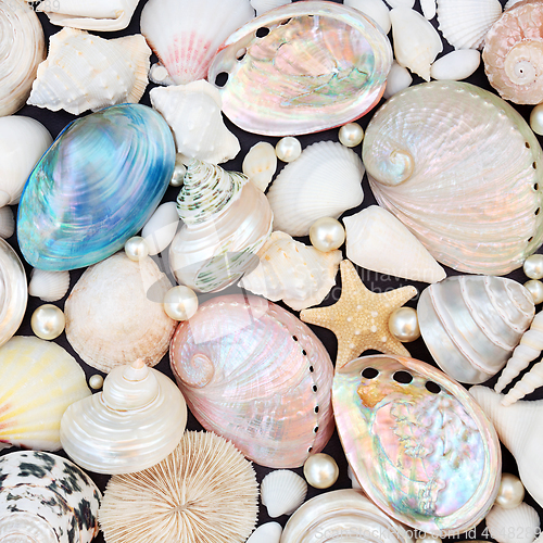 Image of Abstract Seashell and Pearl Background Composition