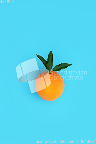 Image of Orange Citrus Fruit for Immune System Boost