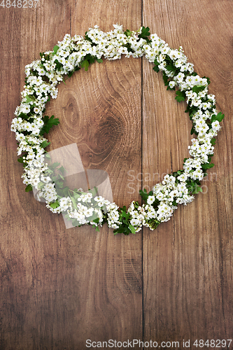 Image of Spring Hawthorn Blossom Flower Wreath